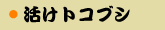 �����g�R�u�V