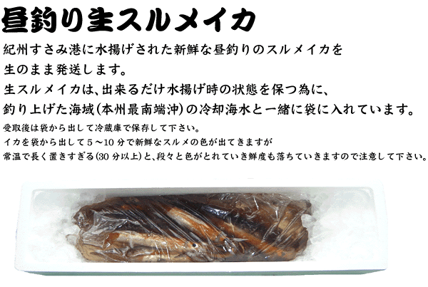 �y���ނ萶�X�����C�J�z�I�B�����ݍ`�ɐ��g�����ꂽ�V�N�Ȓ��ނ�̃X�����C�J�𐶂̂܂ܔ������܂��B ���X�����C�J�́A�o���邾�����g�����̏�Ԃ�ۂׂɁA�ނ�グ���C��i�{�B�œ�[���j�̗�p�C���ƈꏏ�ɑ܂ɓ���Ă��܂��B����͑܂���o���ė①�ɂŕۑ����ĉ������B�C�J��܂���o���ĂT�`10���ŐV�N�ȃX�����̐F���o�Ă��܂����퉷�Œ����u��������i30���ȏ�j�ƁA�i�X�ƐF���Ƃ�Ă����N�x�������Ă����܂��̂Œ��ӂ��ĉ������B