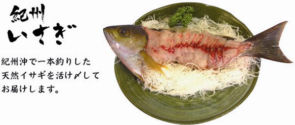 【紀州いさぎ】紀州沖で一本釣りした天然イサギを活け〆してお届けします。