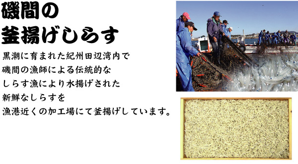 【磯間の釜揚げしらす】黒潮に育まれた紀州田辺湾内で磯間の漁師による伝統的なしらす漁により水揚げされた新鮮なしらすを漁港近くの加工場にて釜揚げしています。