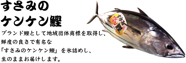 【すさみのケンケン鰹】ブランド鰹として地域団体商標を取得し、鮮度の良さで有名な「すさみのケンケン鰹」を氷詰めし、生のままお届けします。
