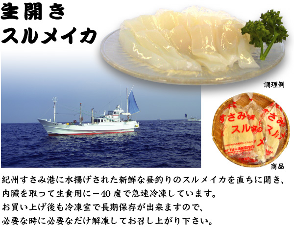 【生開きスルメイカ】紀州すさみ港に水揚げされた新鮮な昼釣りのスルメイカを直ちに開き、内臓を取って生食用に−40度で急速冷凍しています。お買い上げ後も冷凍室で長期保存が出来ますので、必要な時に必要なだけ解凍してお召し上がり下さい。