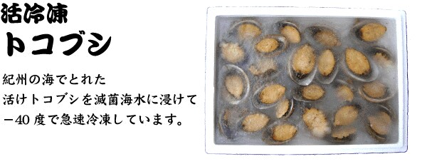 【活冷凍トコブシ】紀州の海でとれた活けトコブシを滅菌海水に浸けて−40度で急速冷凍しています。